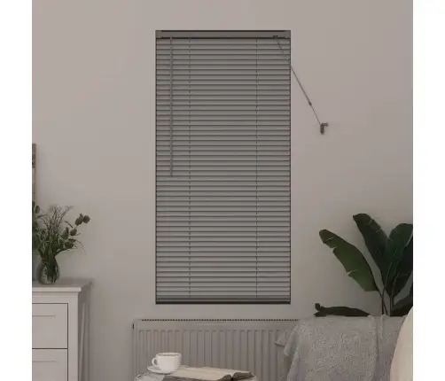 Aknarulo Kardinatega Hõbedane Alumiinium