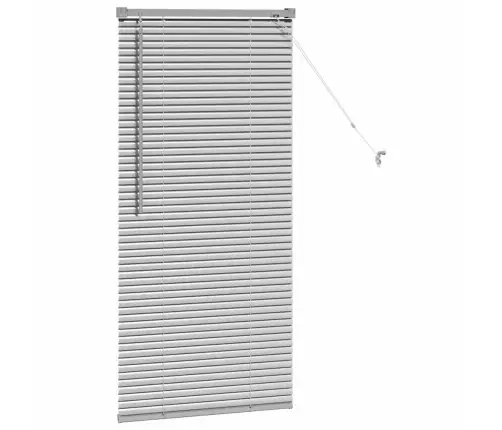 Aknarulo Kardinatega Hõbedane Alumiinium