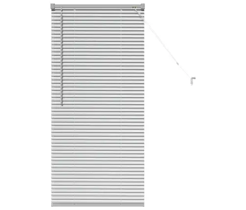 Aknarulo Kardinatega Hõbedane Alumiinium