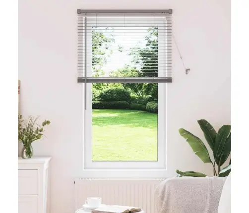 Aknarulo Kardinatega Hõbedane Alumiinium