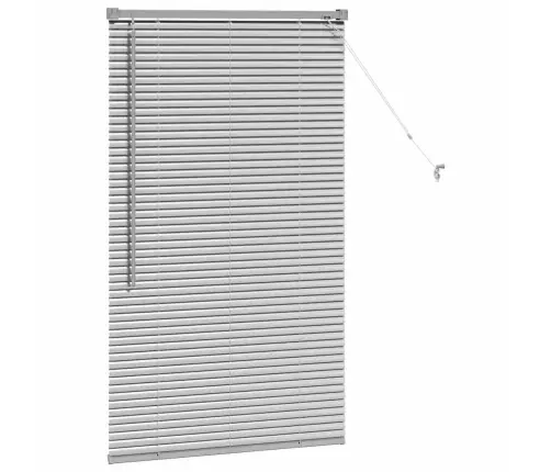 Aknarulo Kardinatega Hõbedane Alumiinium