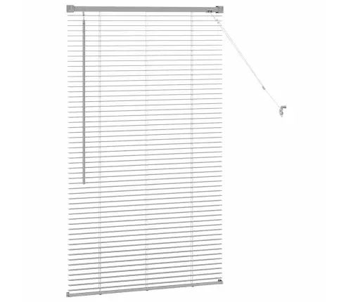 Aknarulo Kardinatega Hõbedane Alumiinium