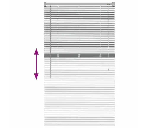 Aknarulo Kardinatega Hõbedane Alumiinium