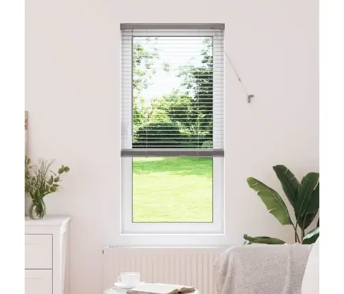 Aknarulo Kardinatega Hõbedane Alumiinium