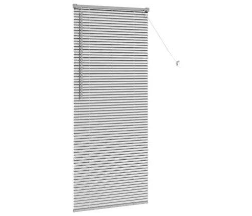 Aknarulo Kardinatega Hõbedane Alumiinium