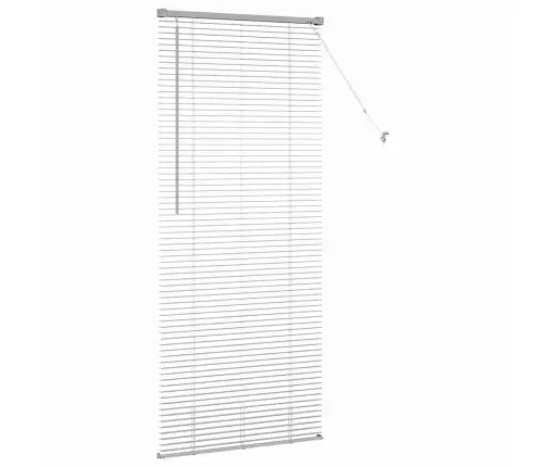 Aknarulo Kardinatega Hõbedane Alumiinium