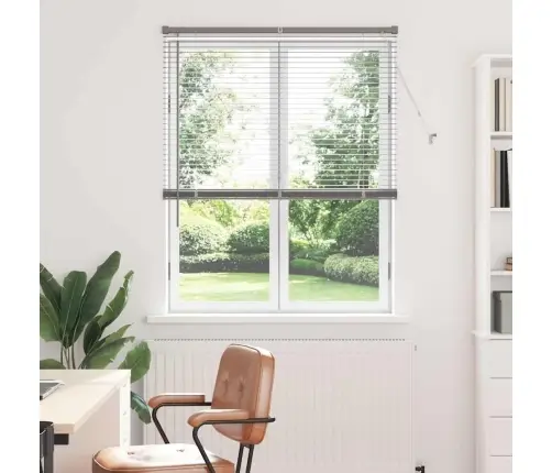 Aknarulo Kardinatega Hõbedane Alumiinium