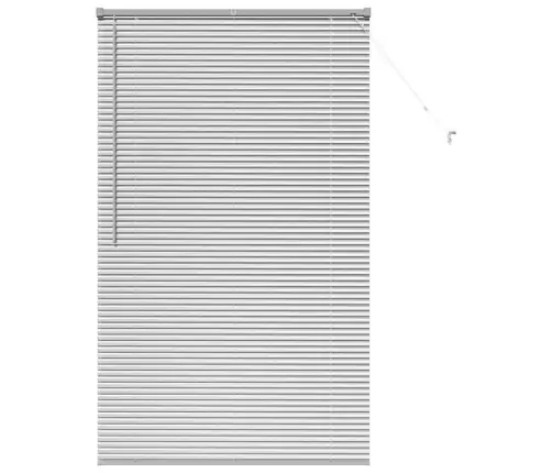 Aknarulo Kardinatega Hõbedane Alumiinium