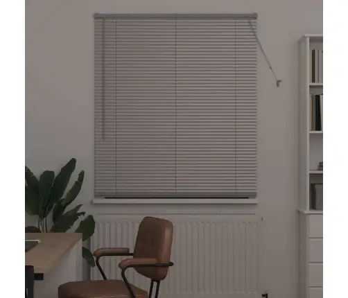 Aknarulo Kardinatega Hõbedane Alumiinium