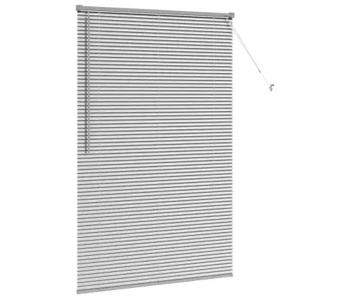 Aknarulo Kardinatega Hõbedane Alumiinium