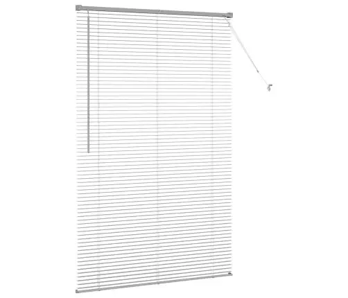 Aknarulo Kardinatega Hõbedane Alumiinium