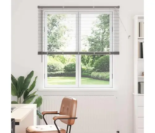 Langų Žaliuzė Su Užuolaidomis Sidabro Aliuminis