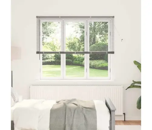 Aknarulo Kardinatega Hõbedane Alumiinium