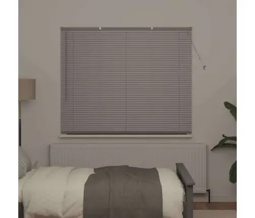 Aknarulo Kardinatega Hõbedane Alumiinium