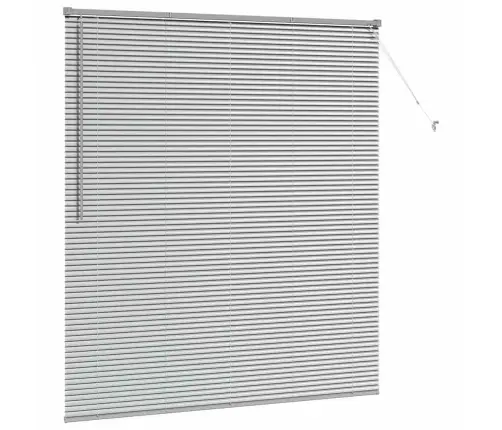 Aknarulo Kardinatega Hõbedane Alumiinium