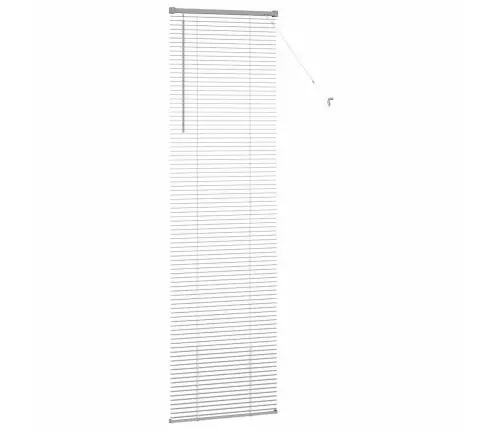 Logu Žalūzija Ar Aizkariem Cits Sudraba 60 X 220 Cm Alumīnijs Vidaxl