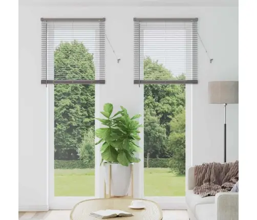 Logu Žalūzija Ar Aizkariem Cits Sudraba 80 X 220 Cm Alumīnijs Vidaxl