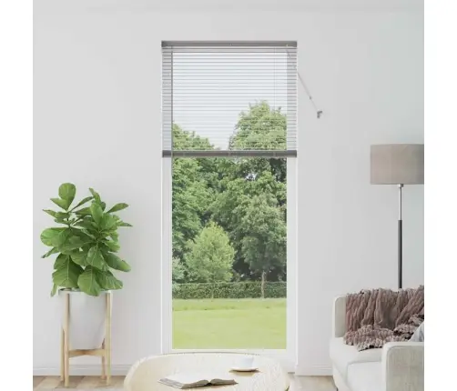 Logu Žalūzija Ar Aizkariem Cits Sudraba 80 X 130 Cm Alumīnijs Vidaxl