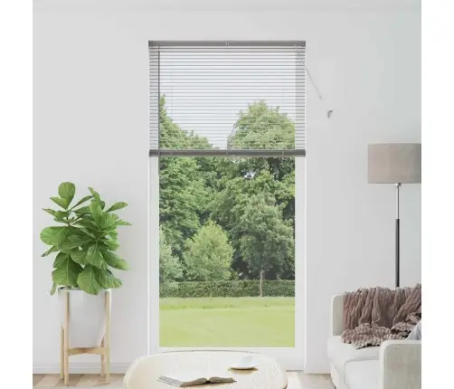 Logu Žalūzija Ar Aizkariem Cits Sudraba 100 X 220 Cm Alumīnijs Vidaxl