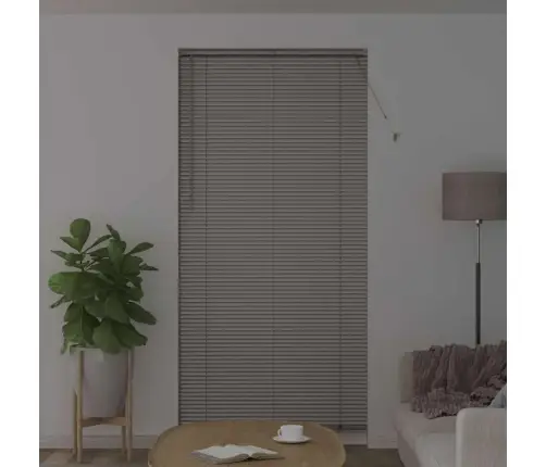 Logu Žalūzija Ar Aizkariem Cits Sudraba 100 X 220 Cm Alumīnijs Vidaxl