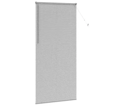 Logu Žalūzija Ar Aizkariem Cits Sudraba 100 X 220 Cm Alumīnijs Vidaxl