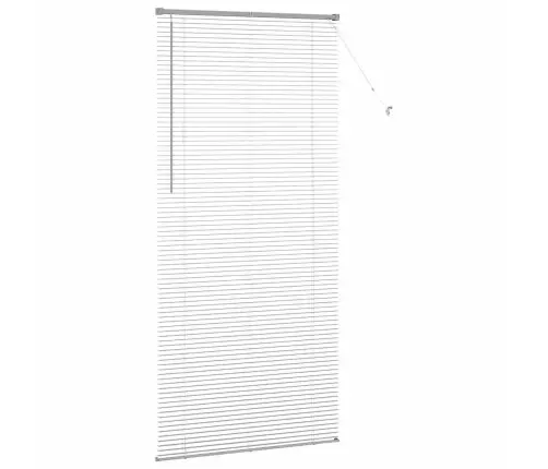 Logu Žalūzija Ar Aizkariem Cits Sudraba 100 X 220 Cm Alumīnijs Vidaxl