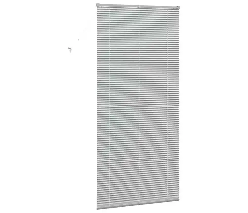 Aknarulo Kardinatega Hõbedane Alumiinium