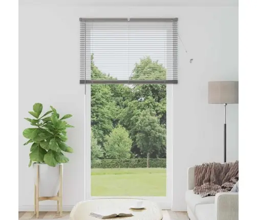 Logu Žalūzija Ar Aizkariem Cits Sudraba 110 X 220 Cm Alumīnijs Vidaxl