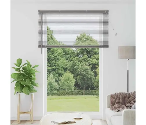 Aknarulo Kardinatega Hõbedane Alumiinium