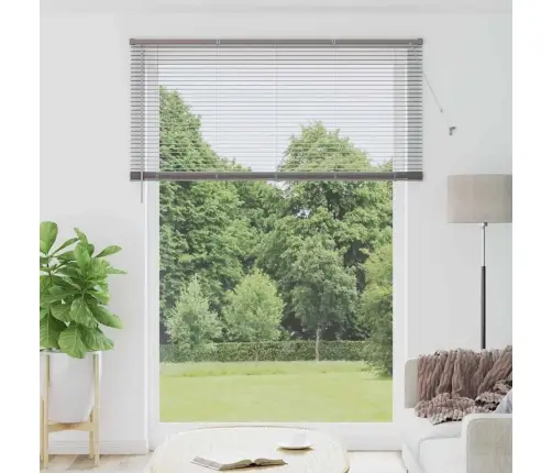 Aknarulo Kardinatega Hõbedane Alumiinium