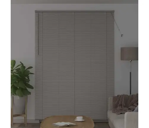 Aknarulo Kardinatega Hõbedane Alumiinium