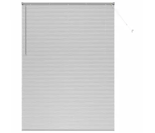 Aknarulo Kardinatega Hõbedane Alumiinium