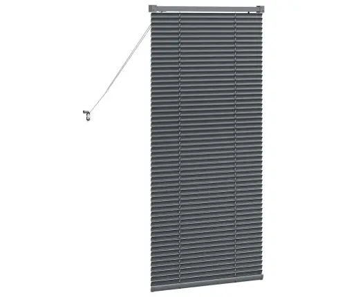 Aknarulo Kardinatega Tumehall Alumiinium