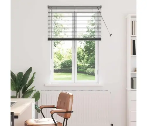 Aknarulo Kardinatega Tumehall Alumiinium