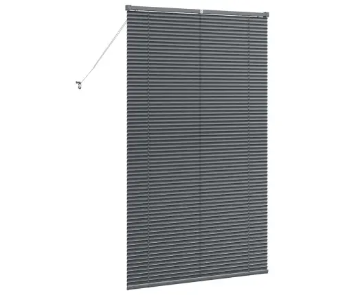 Logu Žalūzija Ar Aizkariem Cits Tumši Pelēka 100 X 175 Cm Alumīnijs Vidaxl