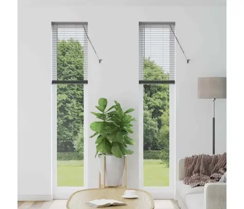 Logu Žalūzija Ar Aizkariem Cits Tumši Pelēka 40 X 220 Cm Alumīnijs Vidaxl