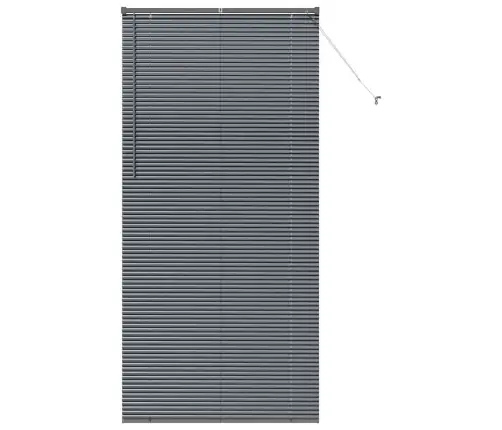 Logu Žalūzija Ar Aizkariem Cits Tumši Pelēka 100 X 220 Cm Alumīnijs Vidaxl