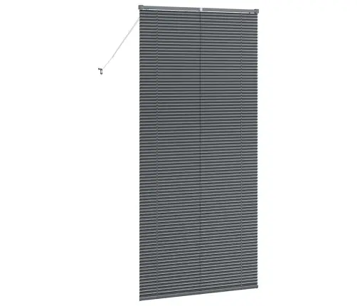 Logu Žalūzija Ar Aizkariem Cits Tumši Pelēka 80 X 130 Cm Alumīnijs Vidaxl