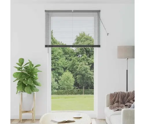 Logu Žalūzija Ar Aizkariem Cits Tumši Pelēka 110 X 220 Cm Alumīnijs Vidaxl Logu Žalūzija Ar Aizkariem Cits Tumši Pelēka 110 X 220 Cm Alumīnijs Vidaxl