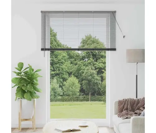 Langų Žaliuzė Su Užuolaidomis Tamsiai Pilka Aliuminis
