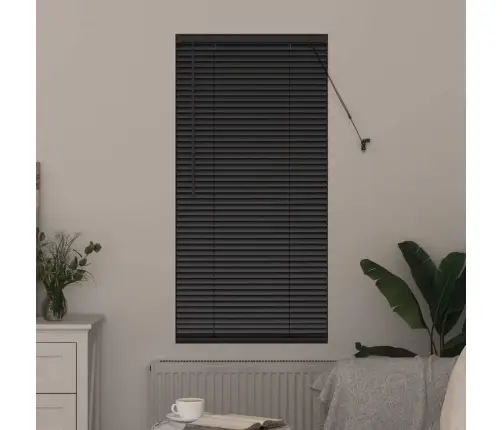 Aknarulo Kardinatega Must Alumiinium