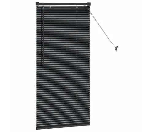 Aknarulo Kardinatega Must Alumiinium