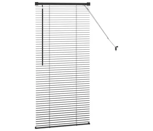 Aknarulo Kardinatega Must Alumiinium