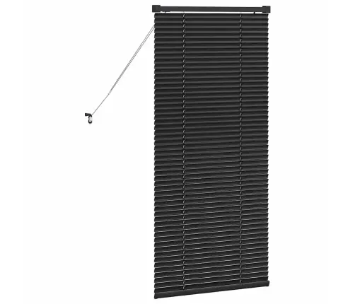 Aknarulo Kardinatega Must Alumiinium