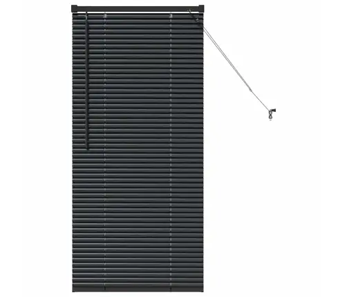 Aknarulo Kardinatega Must Alumiinium