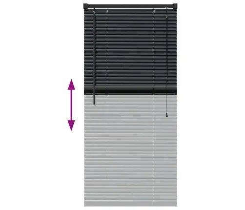 Aknarulo Kardinatega Must Alumiinium