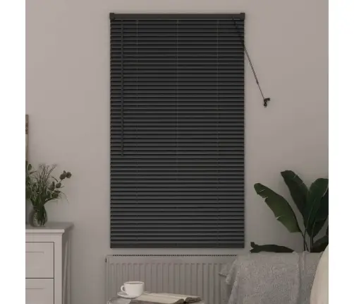 Aknarulo Kardinatega Must Alumiinium