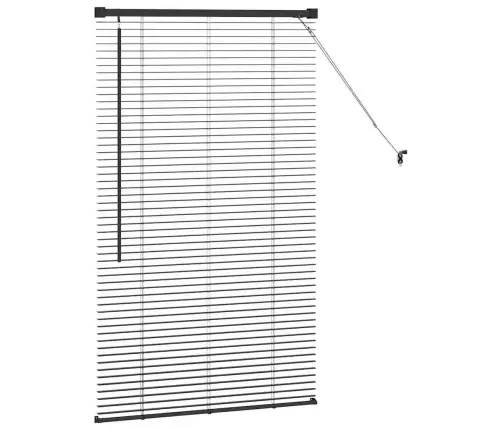 Aknarulo Kardinatega Must Alumiinium