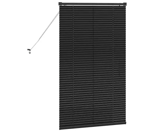 Aknarulo Kardinatega Must Alumiinium