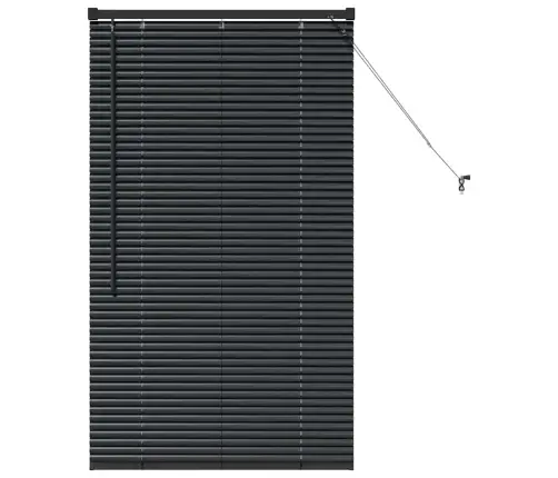 Aknarulo Kardinatega Must Alumiinium